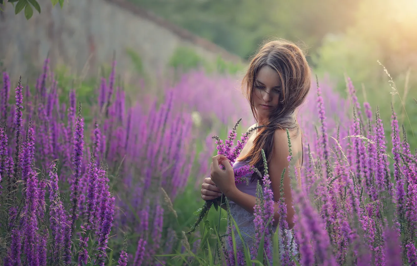 Photo wallpaper flowers, mood, meadow