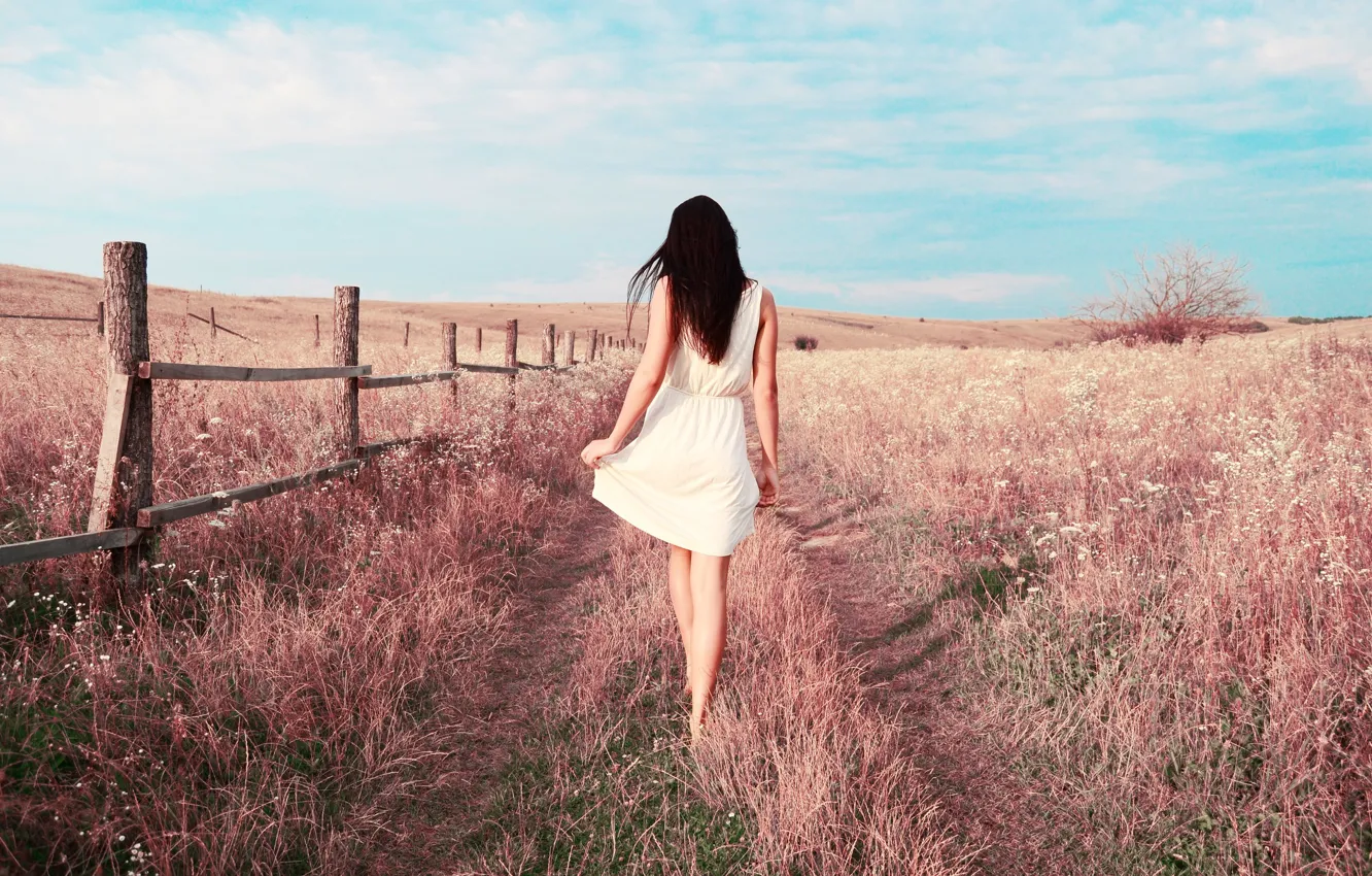 Photo wallpaper field, grass, girl, dress, brunette, legs