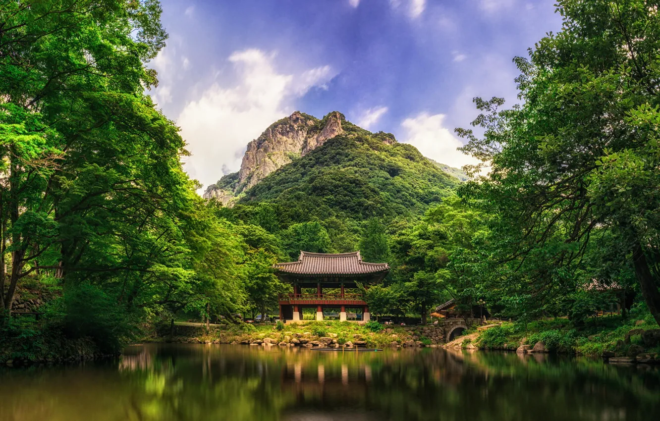 Photo wallpaper forest, trees, bridge, nature, lake, mountain, China