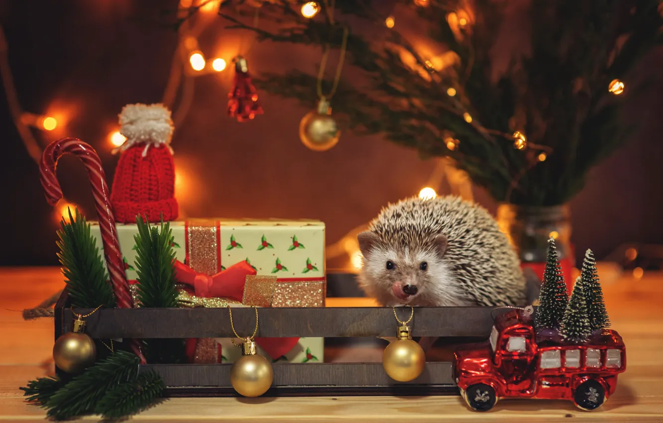 Photo wallpaper language, look, balls, light, holiday, box, gift, toy