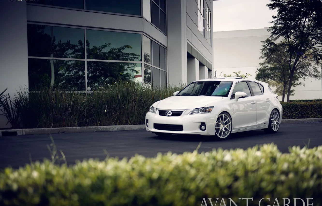 Photo wallpaper white, white, Lexus, Lexus CT 200h