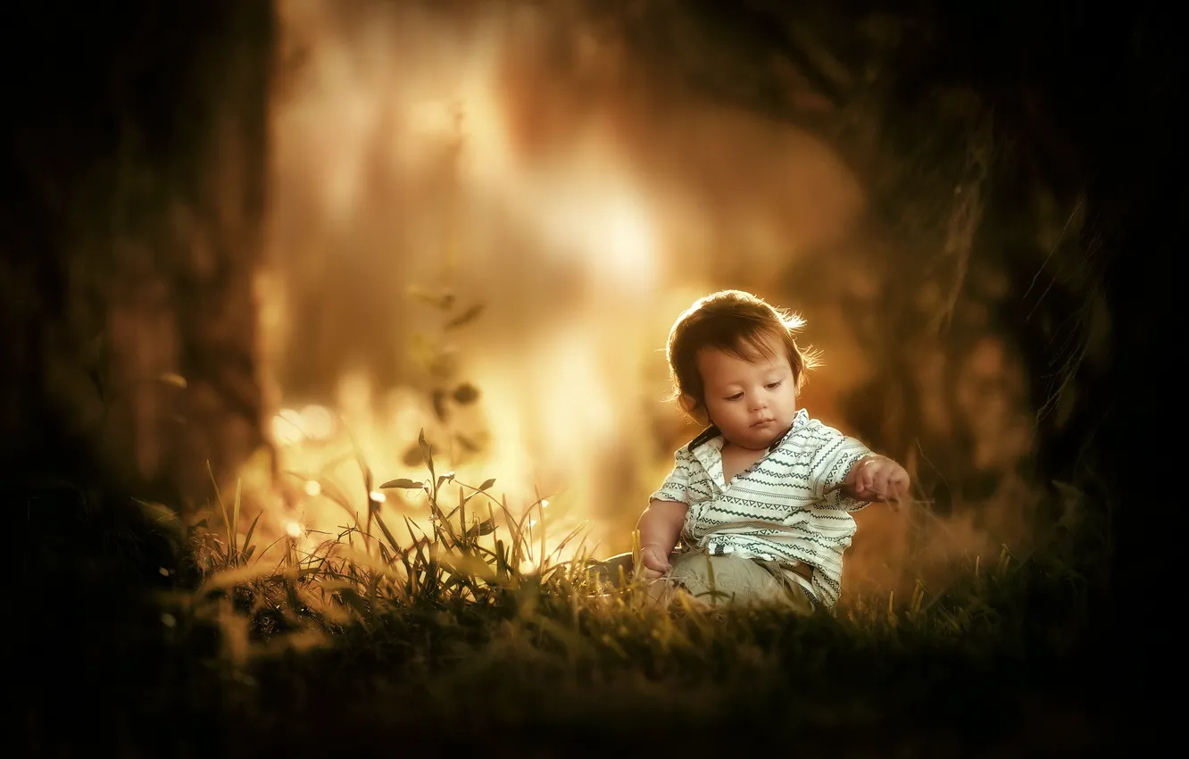 Photo wallpaper forest, light, nature, boy