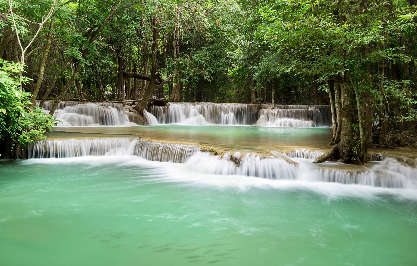 Photo wallpaper forest, trees, tropics, stream, waterfall, Thailand, cascade
