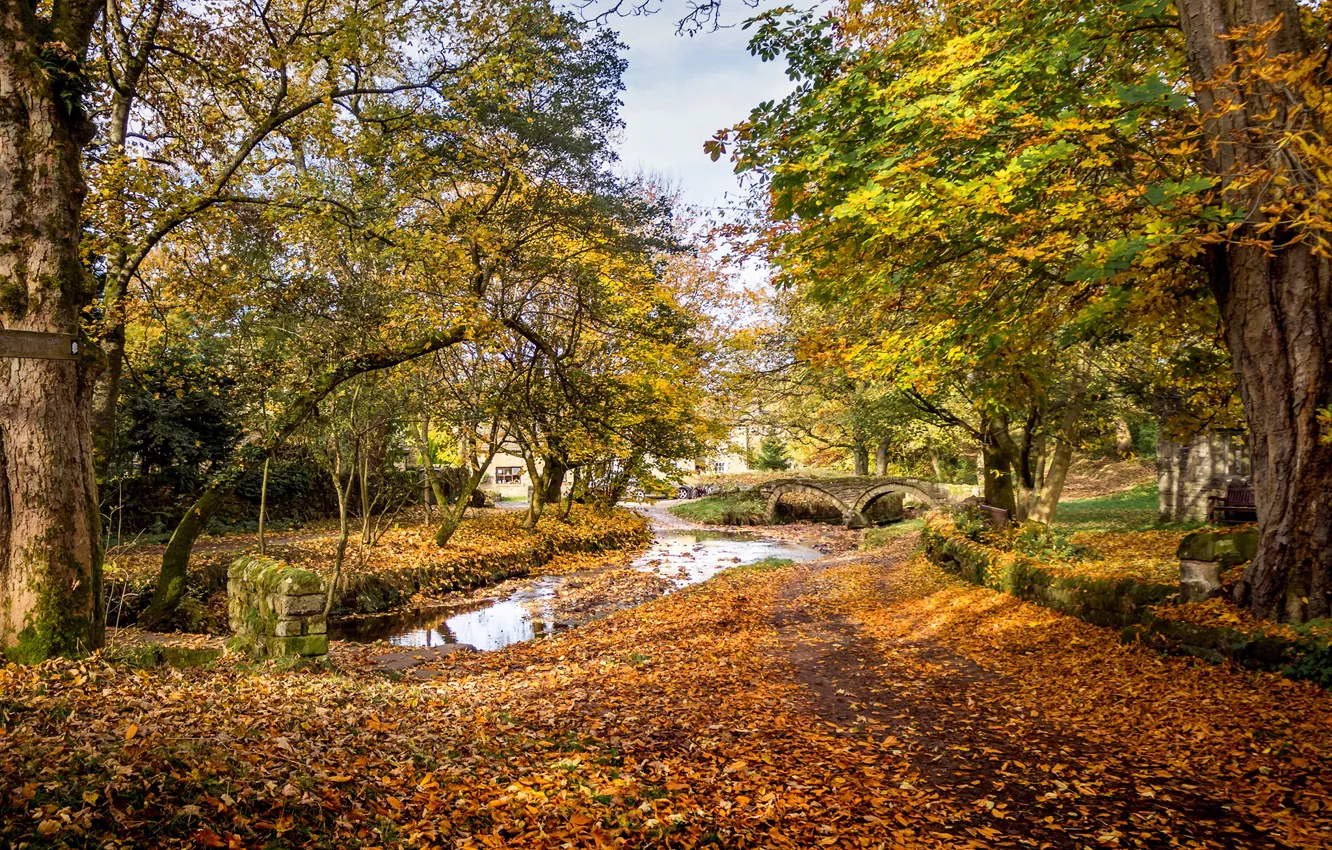 Photo wallpaper autumn, leaves, trees, yellow, bridge, pond, Park, UK