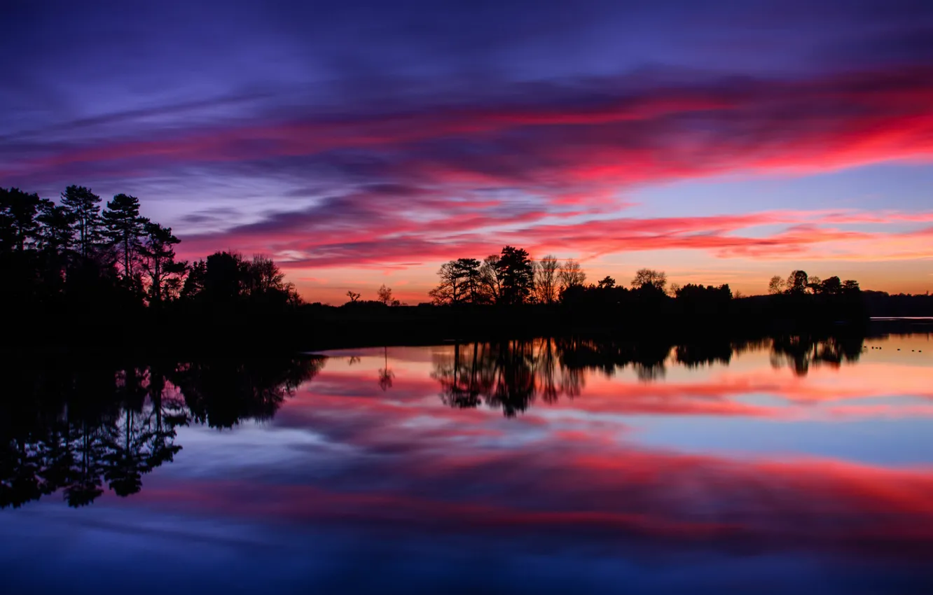 Photo wallpaper forest, the sky, water, clouds, trees, sunset, surface, reflection