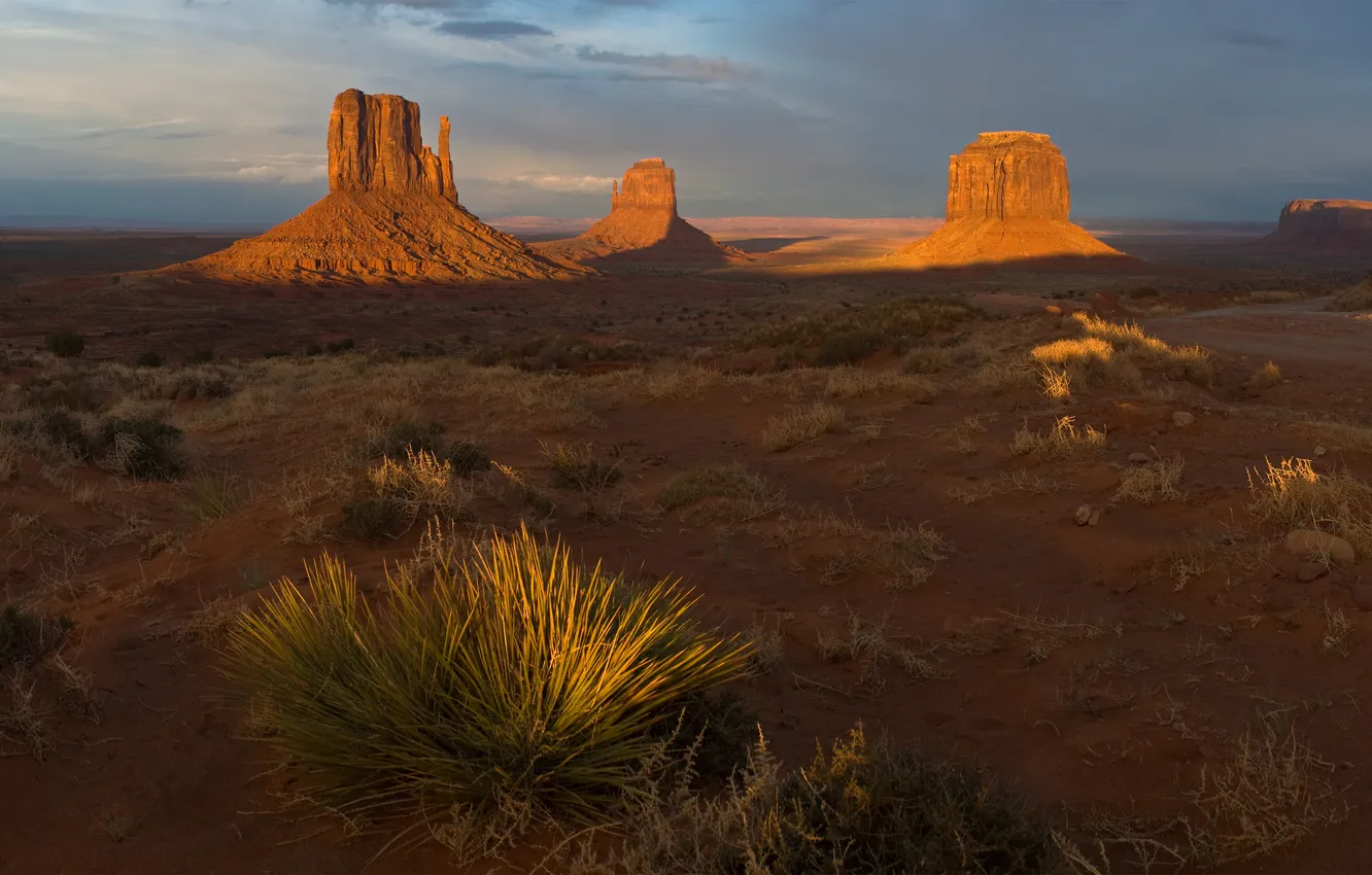 Photo wallpaper sand, the sky, grass, the sun, clouds, sunset, rocks, desert