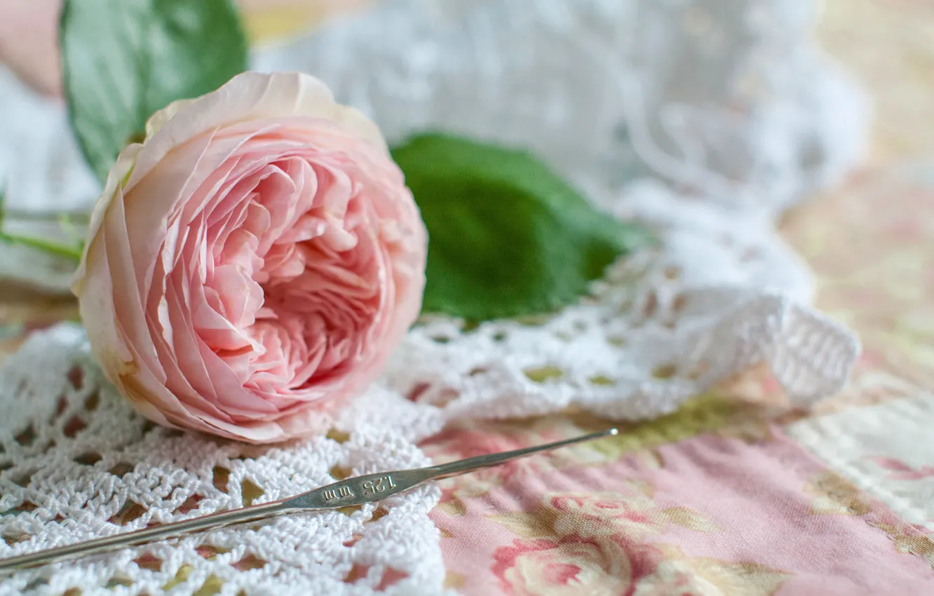 Photo wallpaper flowers, style, roses, buds, hook, knitting