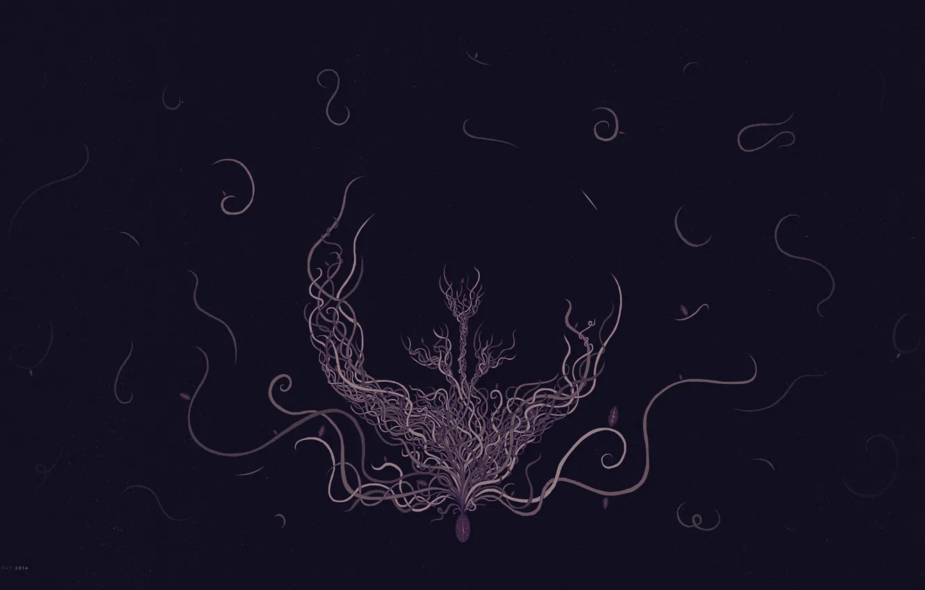 Photo wallpaper curls, emblem, desktopography