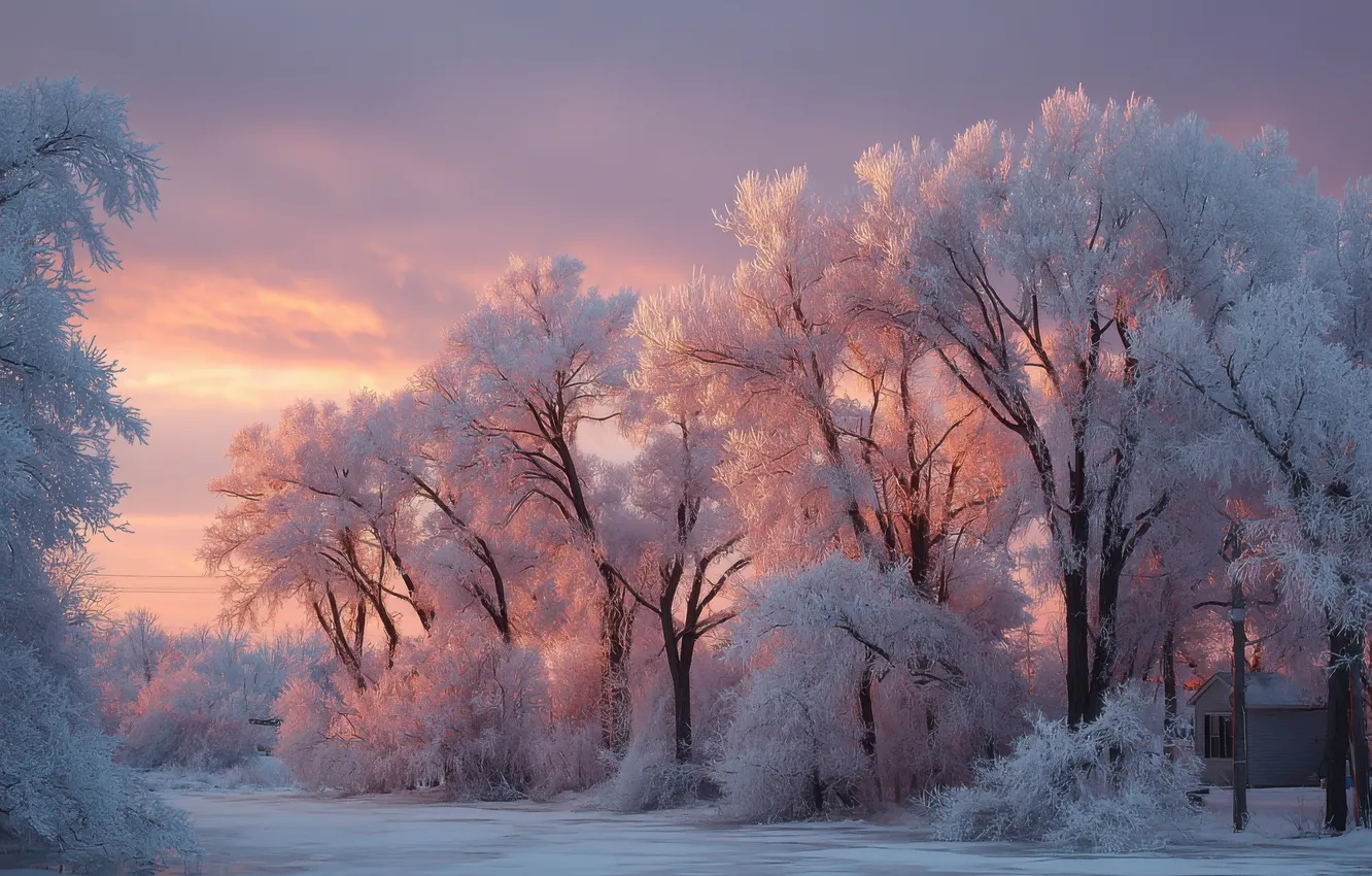 Photo wallpaper winter, frost, road, forest, clouds, light, snow, trees