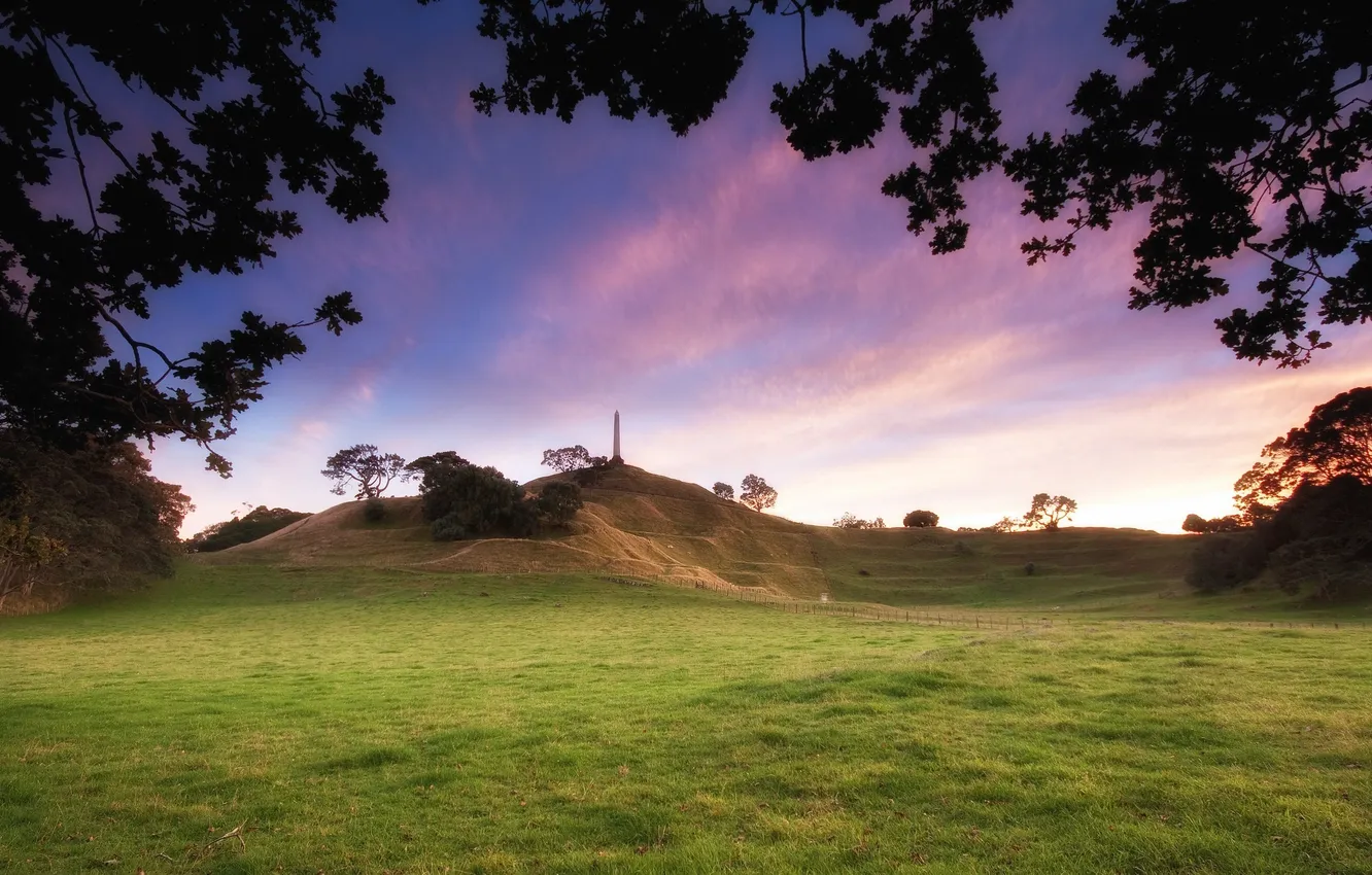 Photo wallpaper forest, the sky, grass, clouds, trees, landscape, sunset, mountains