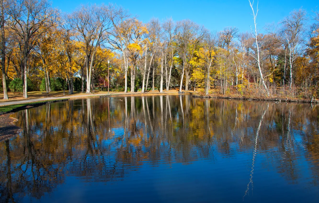 Photo wallpaper autumn, trees, lake, pond, Park