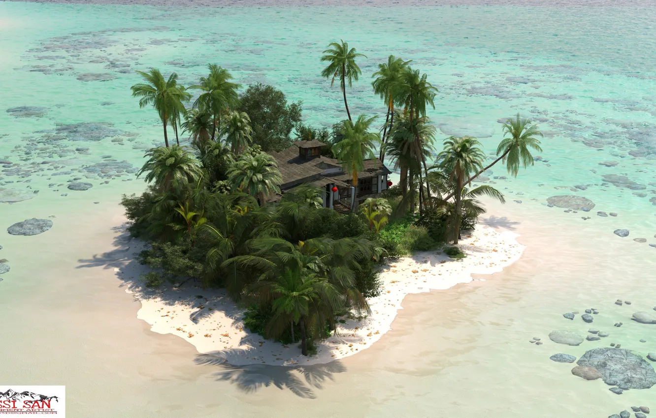 Photo wallpaper sea, palm trees, island, postroika, Private Island
