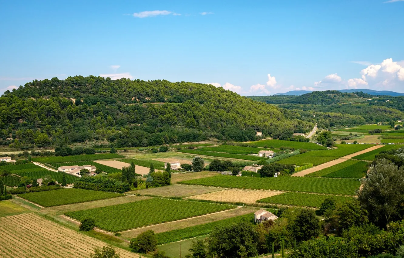 Photo wallpaper greens, field, forest, the sky, the sun, clouds, trees, mountains