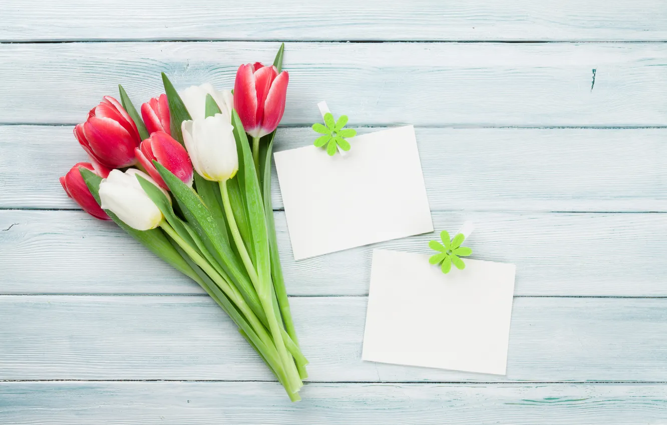 Photo wallpaper flowers, bouquet, tulips, red, white, wood, flowers, tulips
