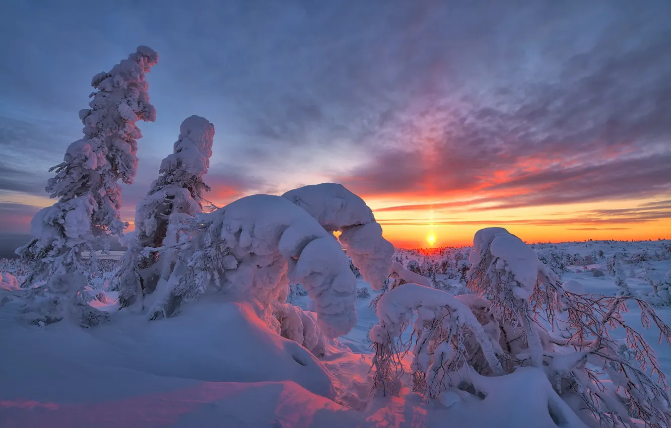 Photo wallpaper winter, the sun, snow, trees, landscape, sunset, nature, ate