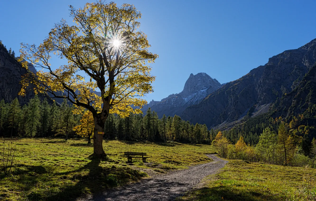 Photo wallpaper autumn, trees, mountains, bench, tree, Austria, valley, Alps