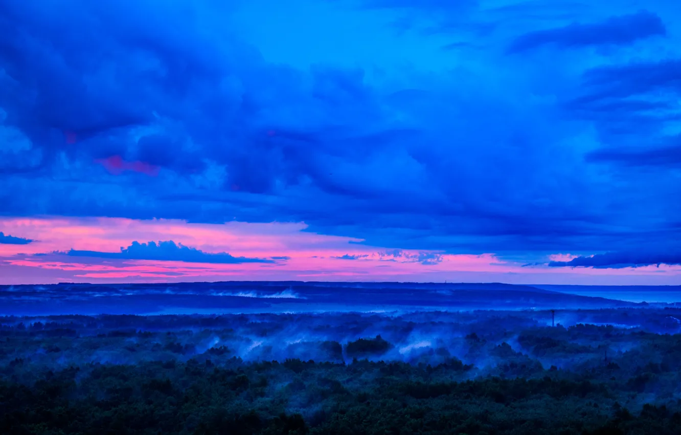 Photo wallpaper forest, the sky, after the rain, pink