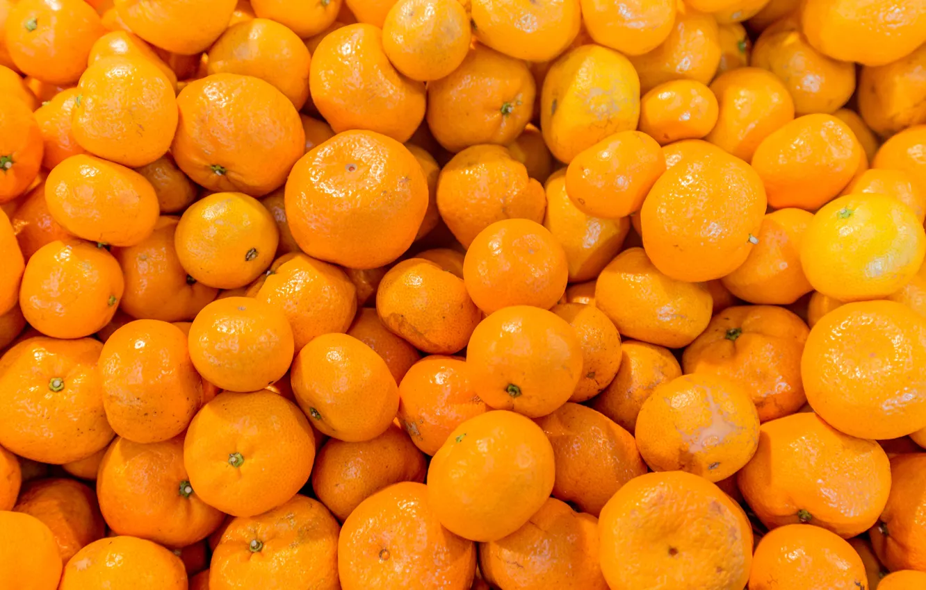 Photo wallpaper citrus, a lot, tangerines