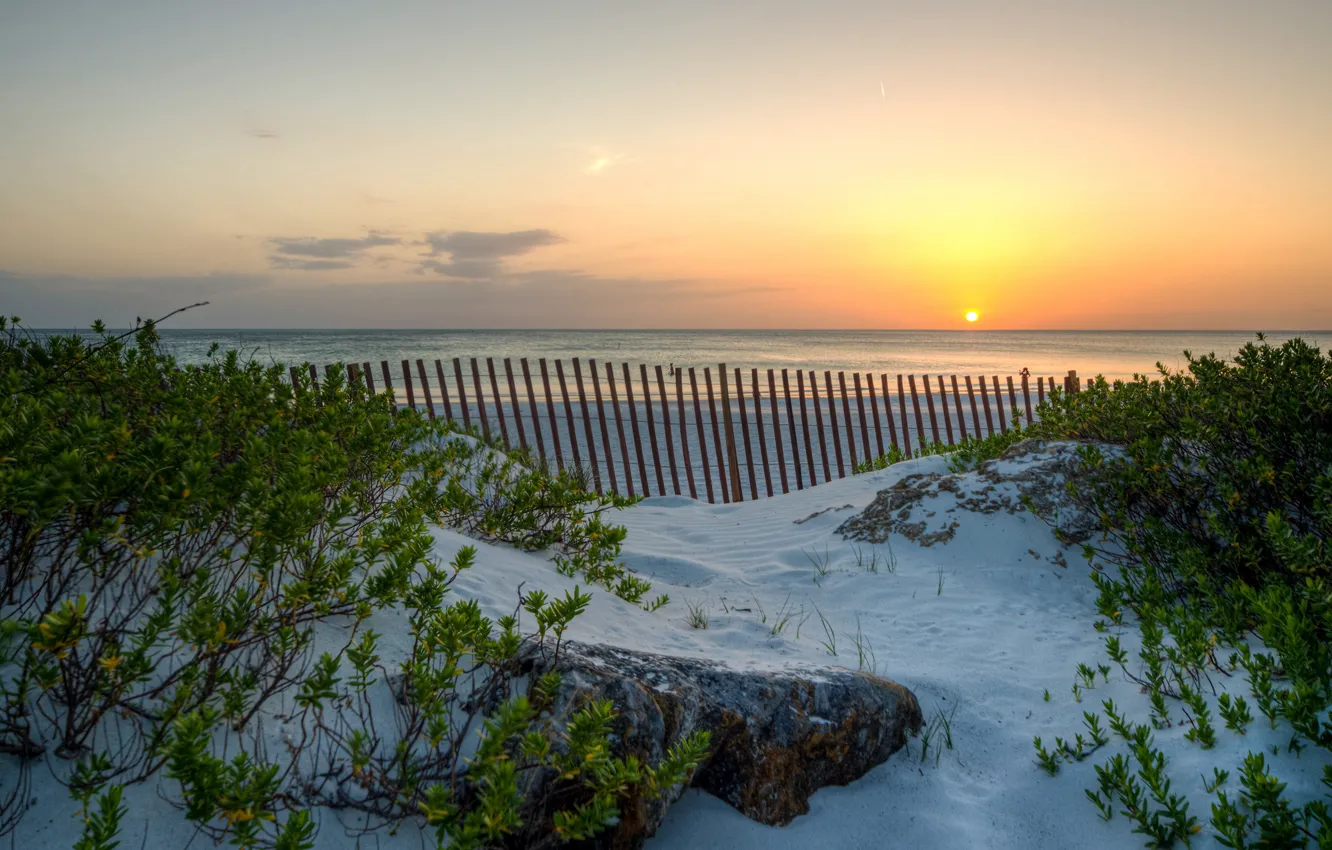 Photo wallpaper sand, sea, beach, the sky, the sun, sunset, branches, stones