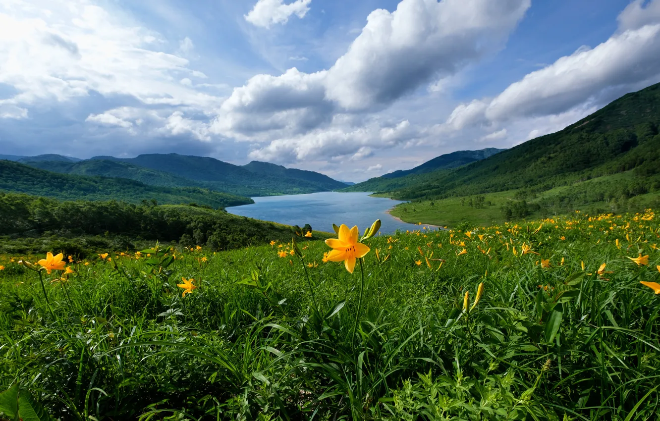 Photo wallpaper greens, summer, the sky, grass, clouds, landscape, flowers, mountains