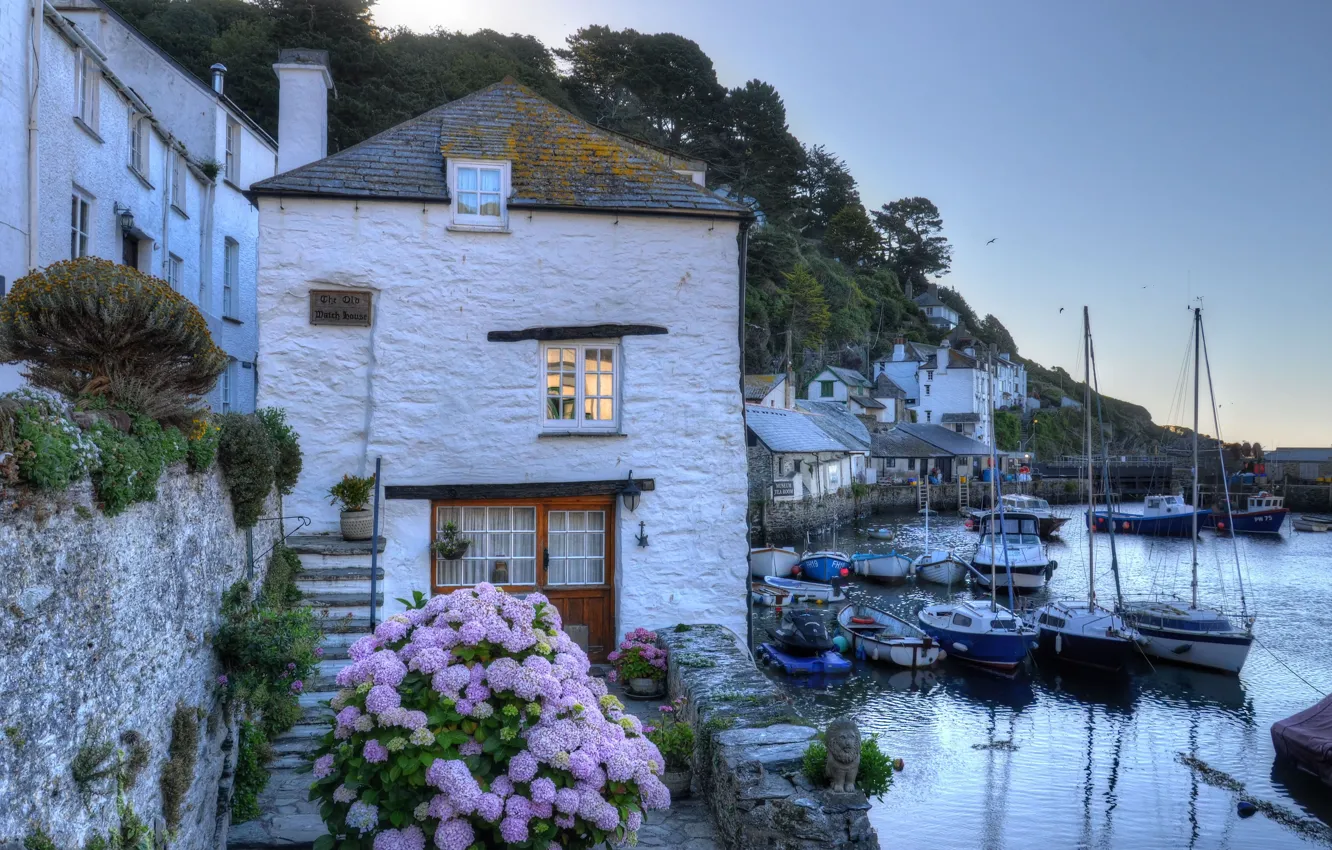 Photo wallpaper boat, home, UK, town, the bushes, harbour, hydrangea, Cornwall