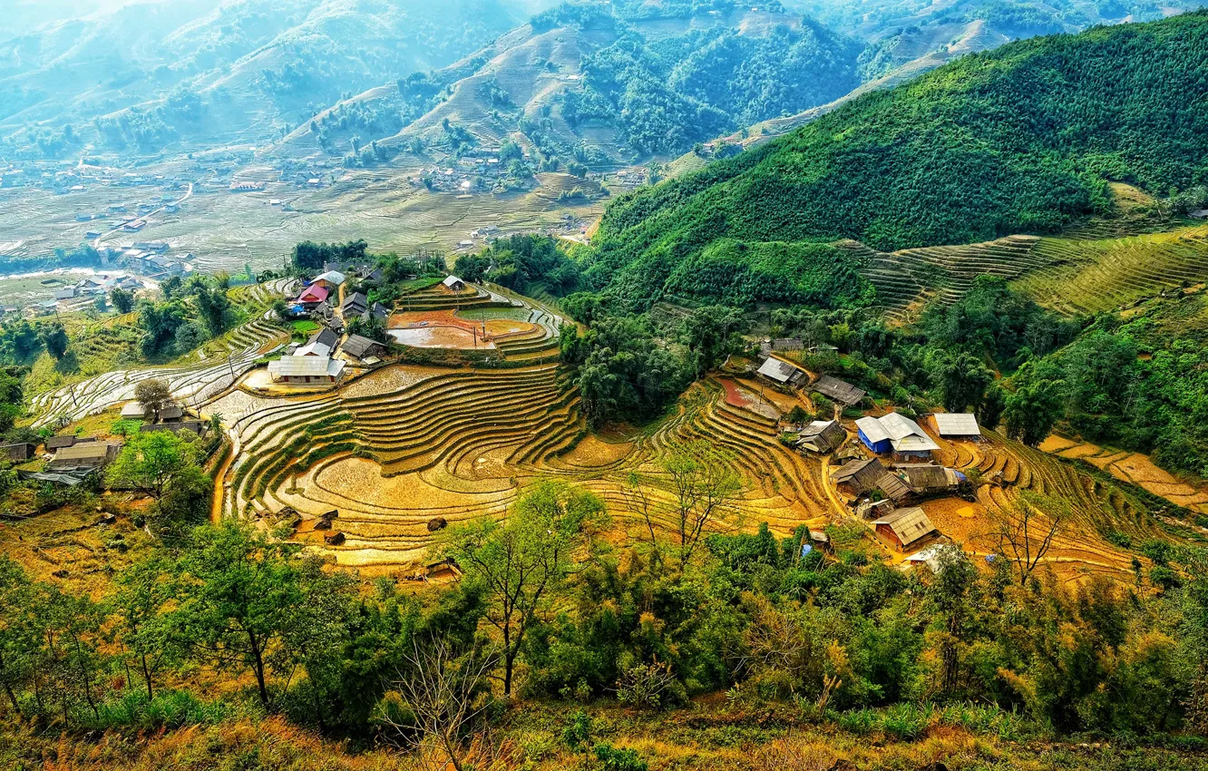 Photo wallpaper forest, trees, mountains, field, valley, houses, Vietnam, the view from the top