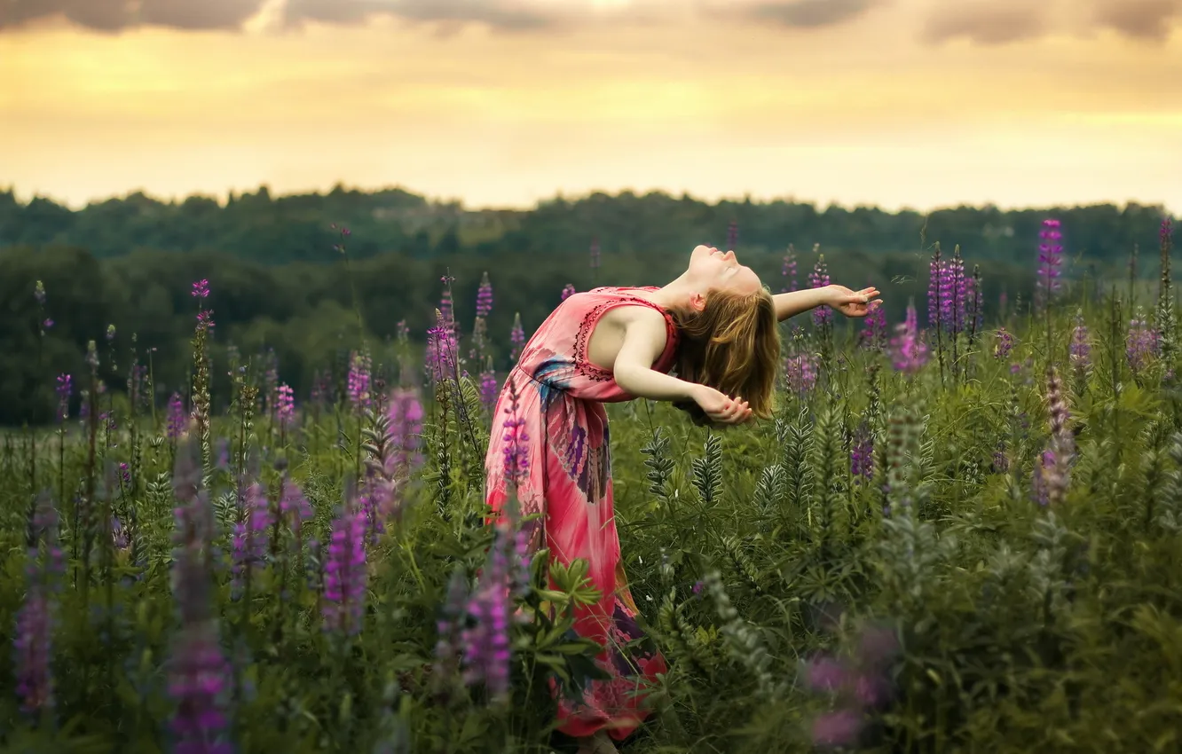 Photo wallpaper field, freedom, girl, sunset