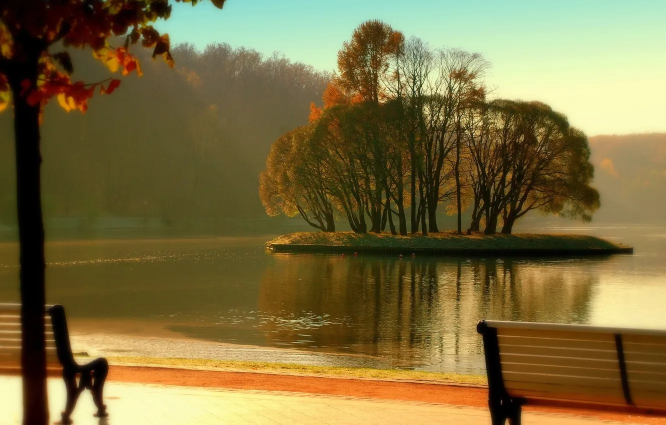 Photo wallpaper forest, trees, bench, lake, pond, Park, shore, island