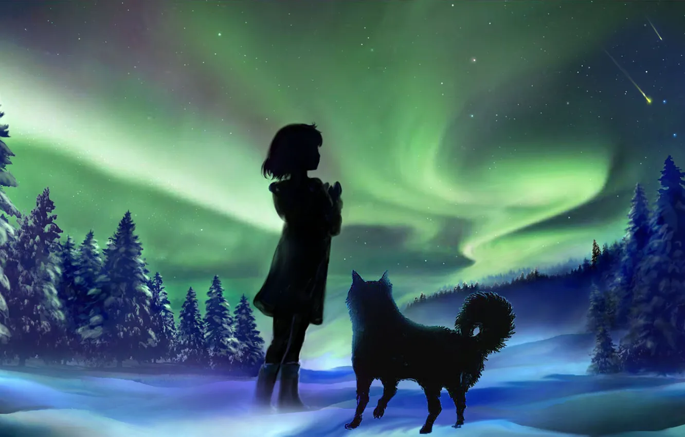Photo wallpaper winter, the sky, girl, snow, night, nature, dog, Northern lights