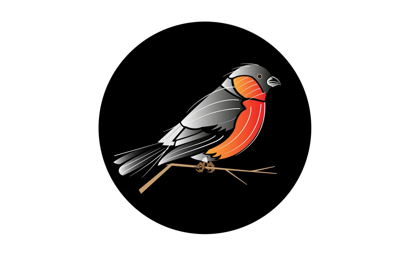Photo wallpaper bird, round, branch