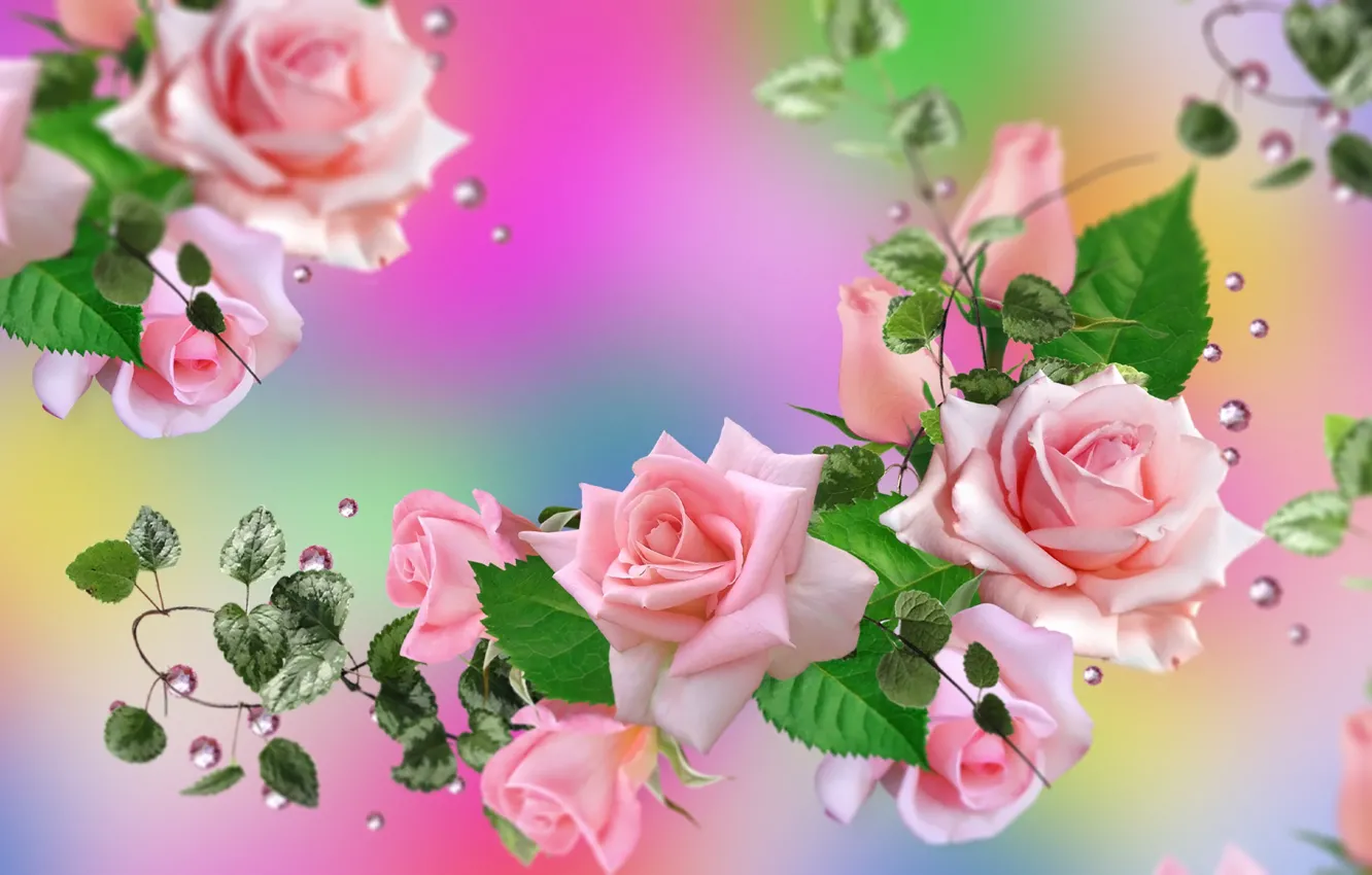 Photo wallpaper Graphics, Flowers, Roses