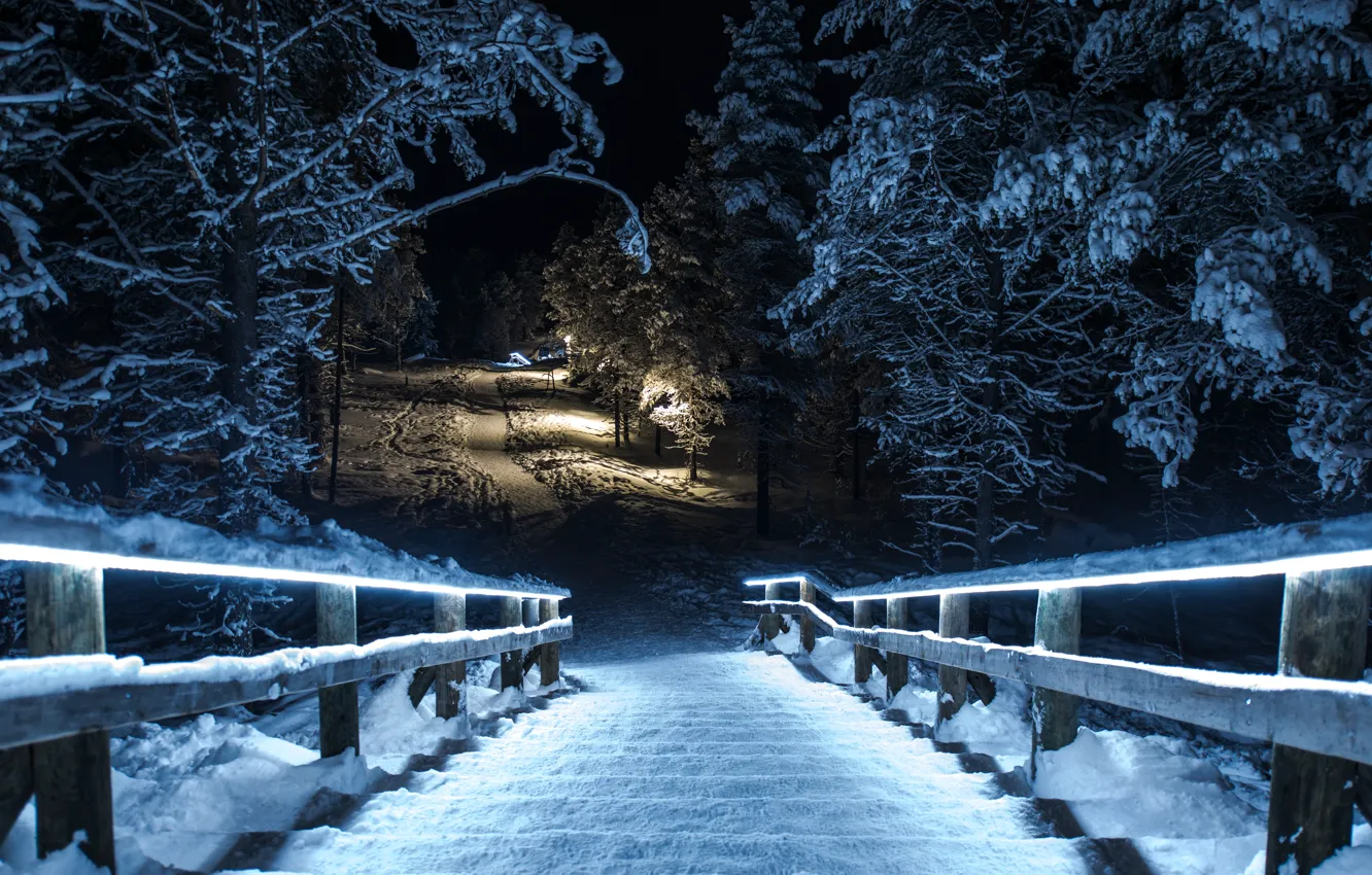 Photo wallpaper winter, snow, night, bridge, Park
