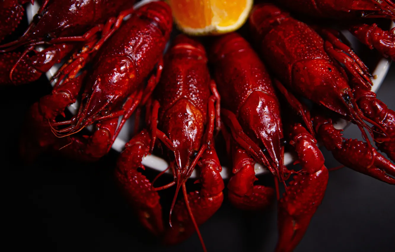 Photo wallpaper red, orange, a lot, claws, boiled, cancers