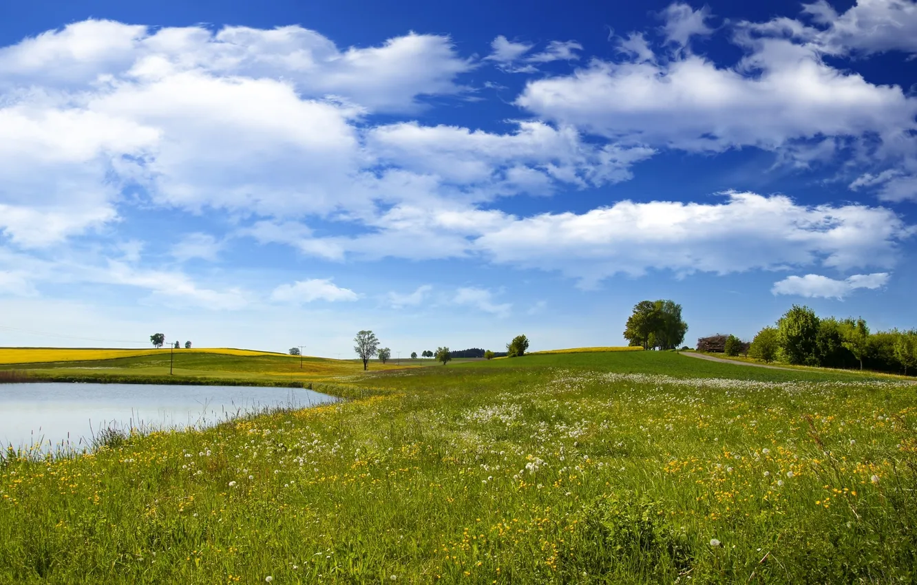 Photo wallpaper field, the sky, grass, clouds, trees, landscape, flowers, nature