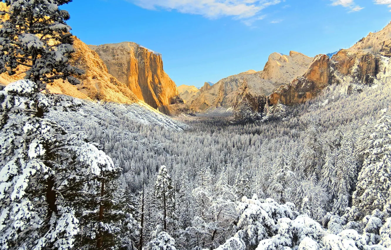Photo wallpaper winter, CA, USA, Yosemite, national Park, Yosemite National Park