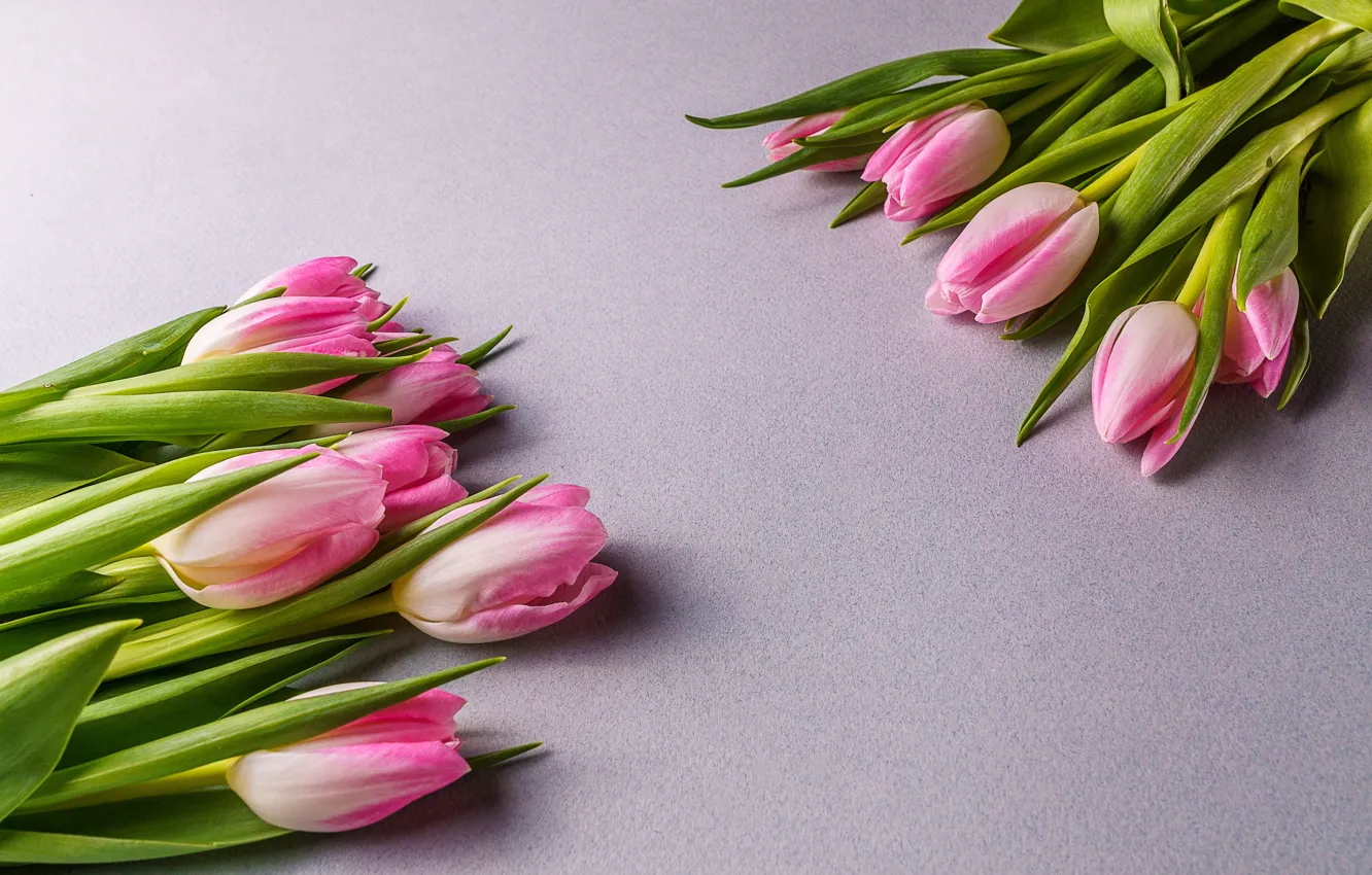 Photo wallpaper flowers, bouquet, tulips, pink, fresh, pink, flowers, beautiful