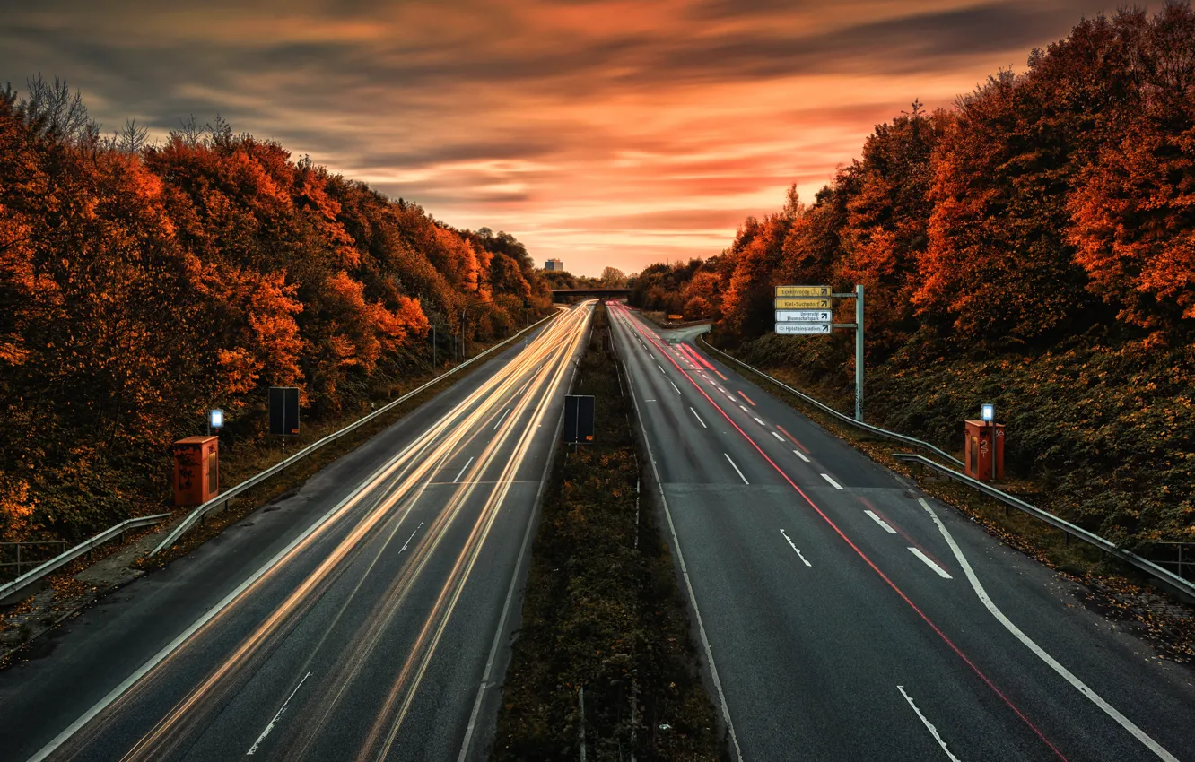 Photo wallpaper road, autumn, lights