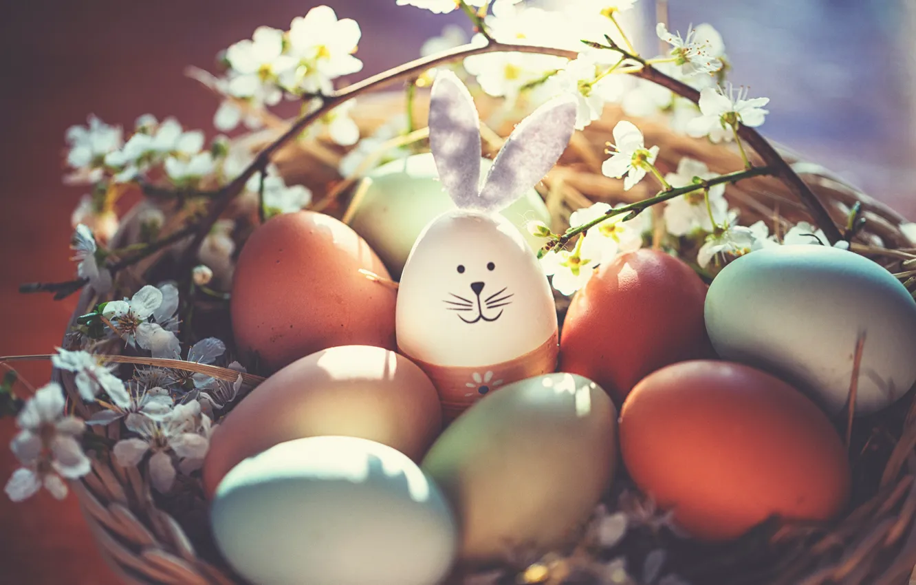 Photo wallpaper light, flowers, branches, toy, eggs, spring, rabbit, muzzle