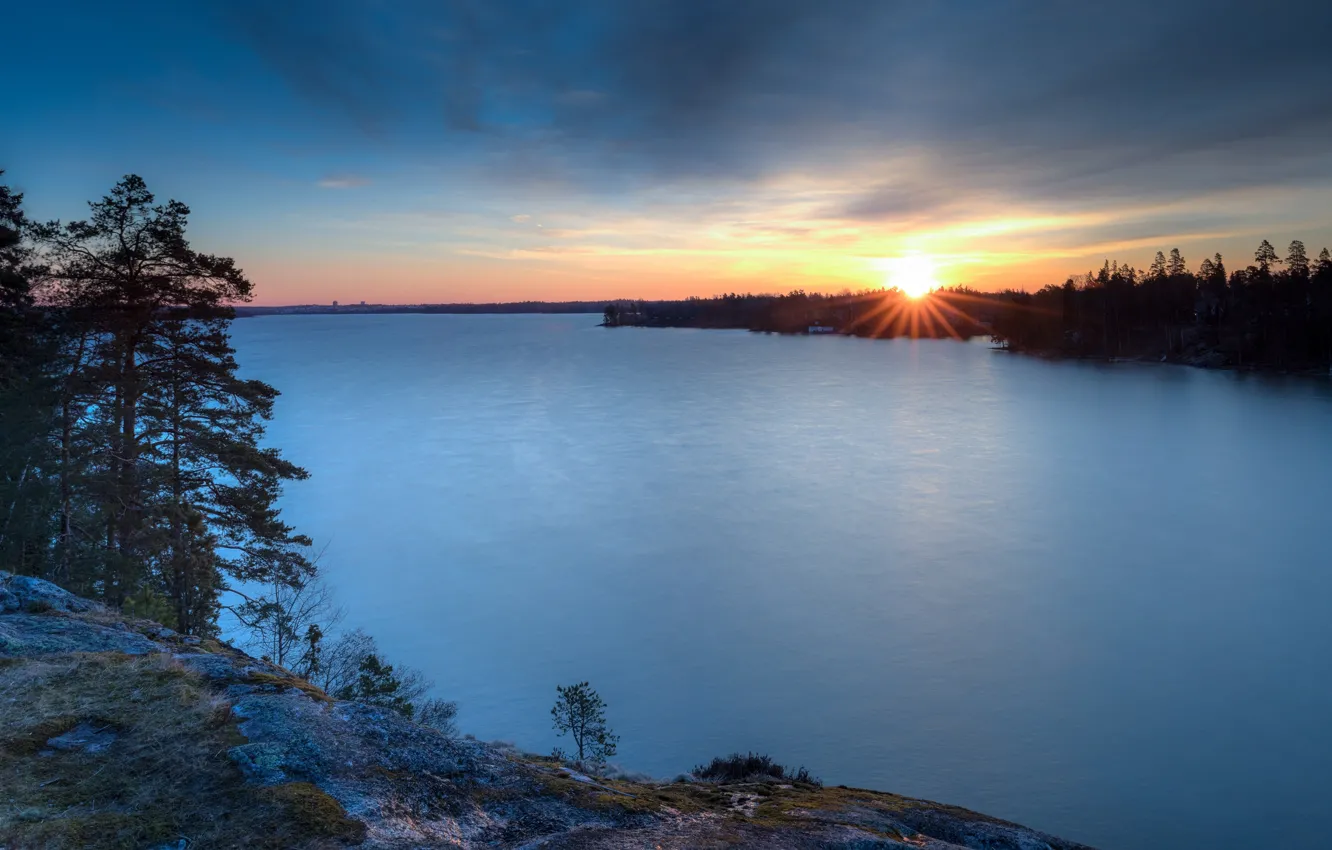 Photo wallpaper forest, sunset, lake, shore, pond, pine