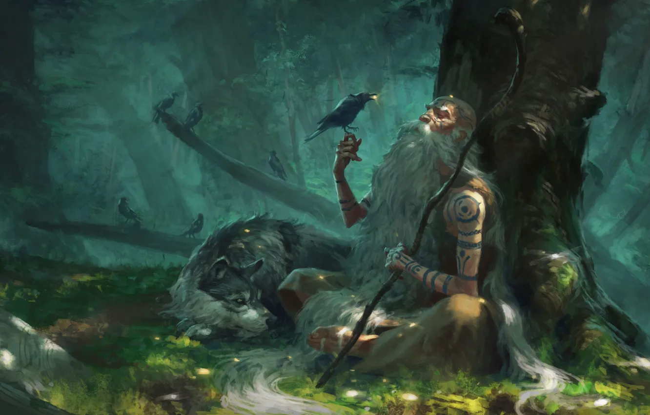 Photo wallpaper forest, fantasy, art, the elder, The HERMIT, Manuel Castañón, Little gifts