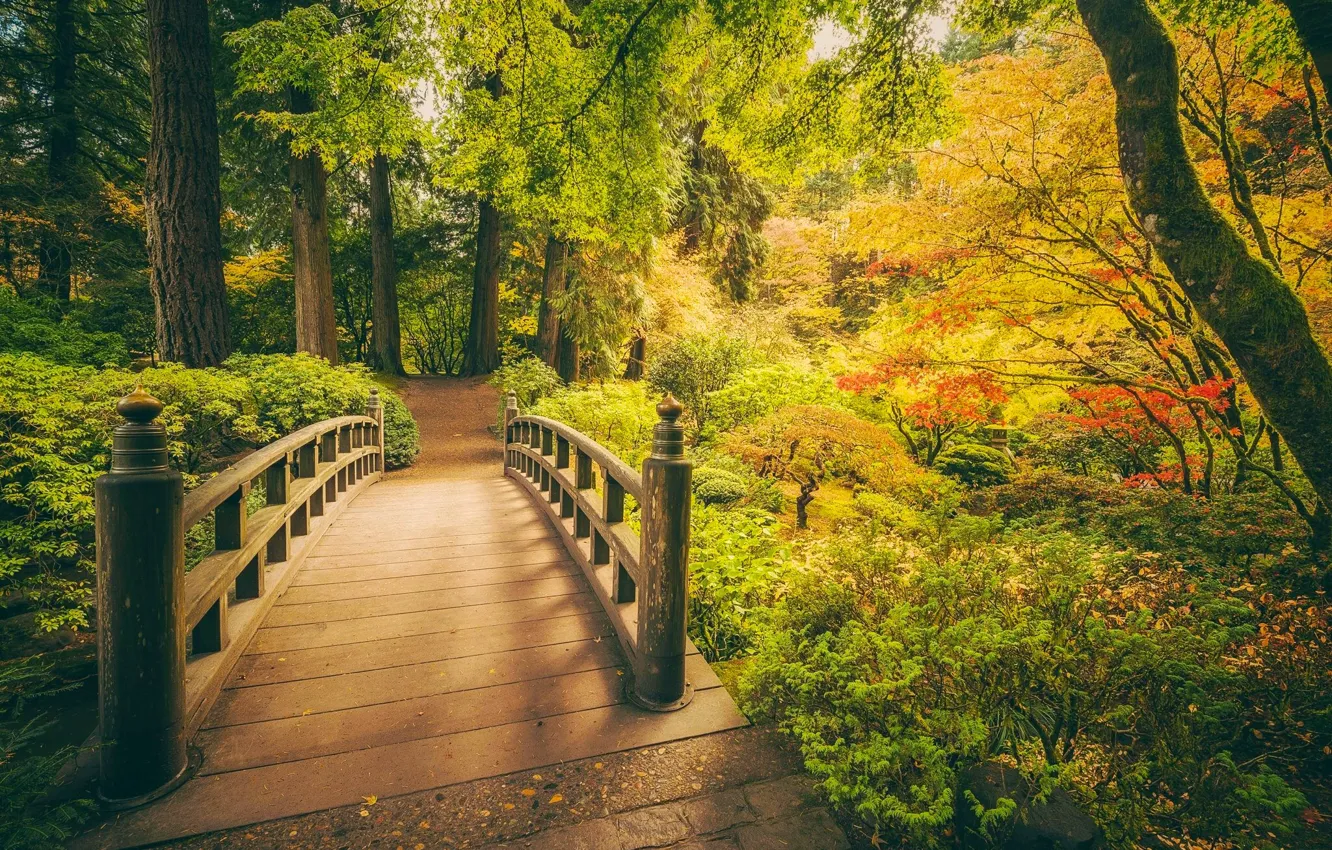 Photo wallpaper autumn, trees, Park, Oregon, Portland, the bridge, Japanese garden, Oregon