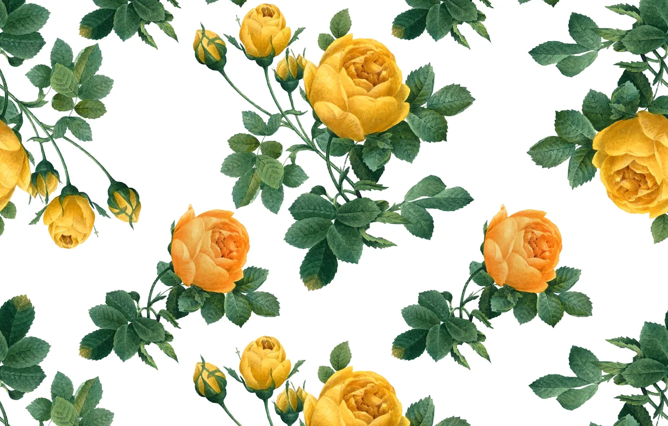 Photo wallpaper background, roses, yellow, buds
