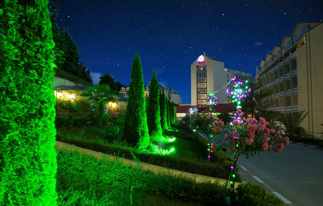 Photo wallpaper trees, flowers, nature, Starry night, trees, nature, flowers, Sochi