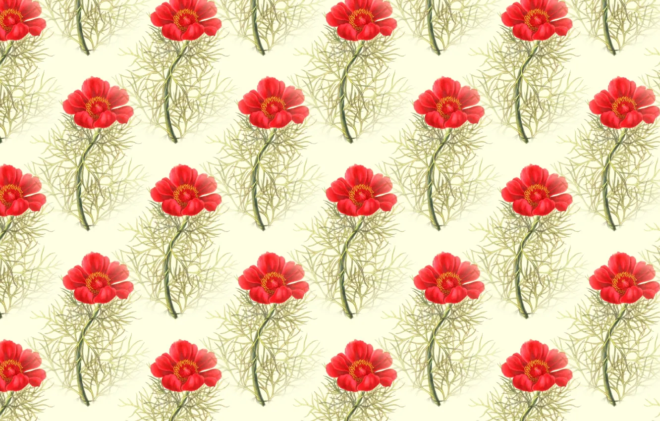 Photo wallpaper BACKGROUND, TEXTURE, RED, FLOWERS