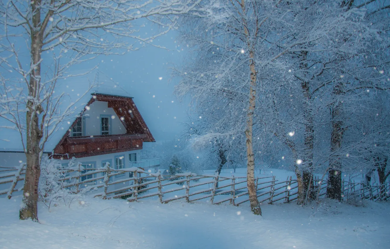 Photo wallpaper winter, the sky, snow, trees, branches, house, the fence, treatment
