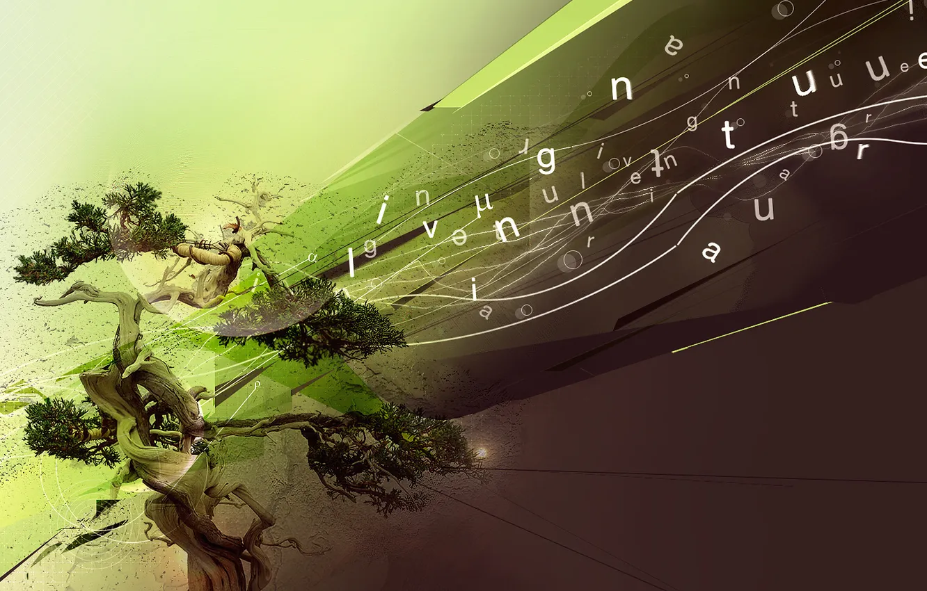 Photo wallpaper trees, strip, living nature