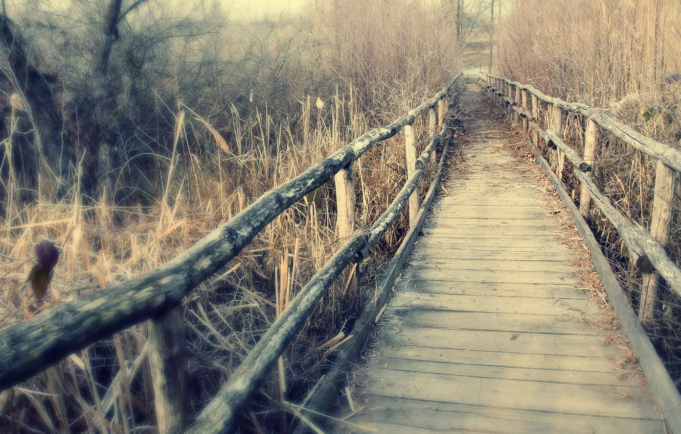Photo wallpaper landscape, bridge, nature