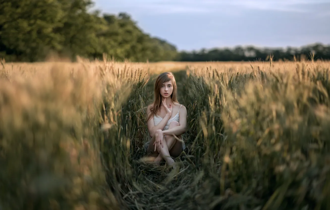 Photo wallpaper wheat, field, summer, the sky, girl, nature