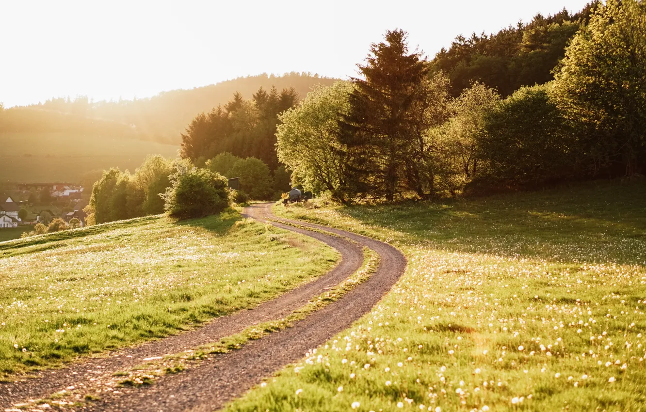 Photo wallpaper road, field, forest, the sun, nature, home