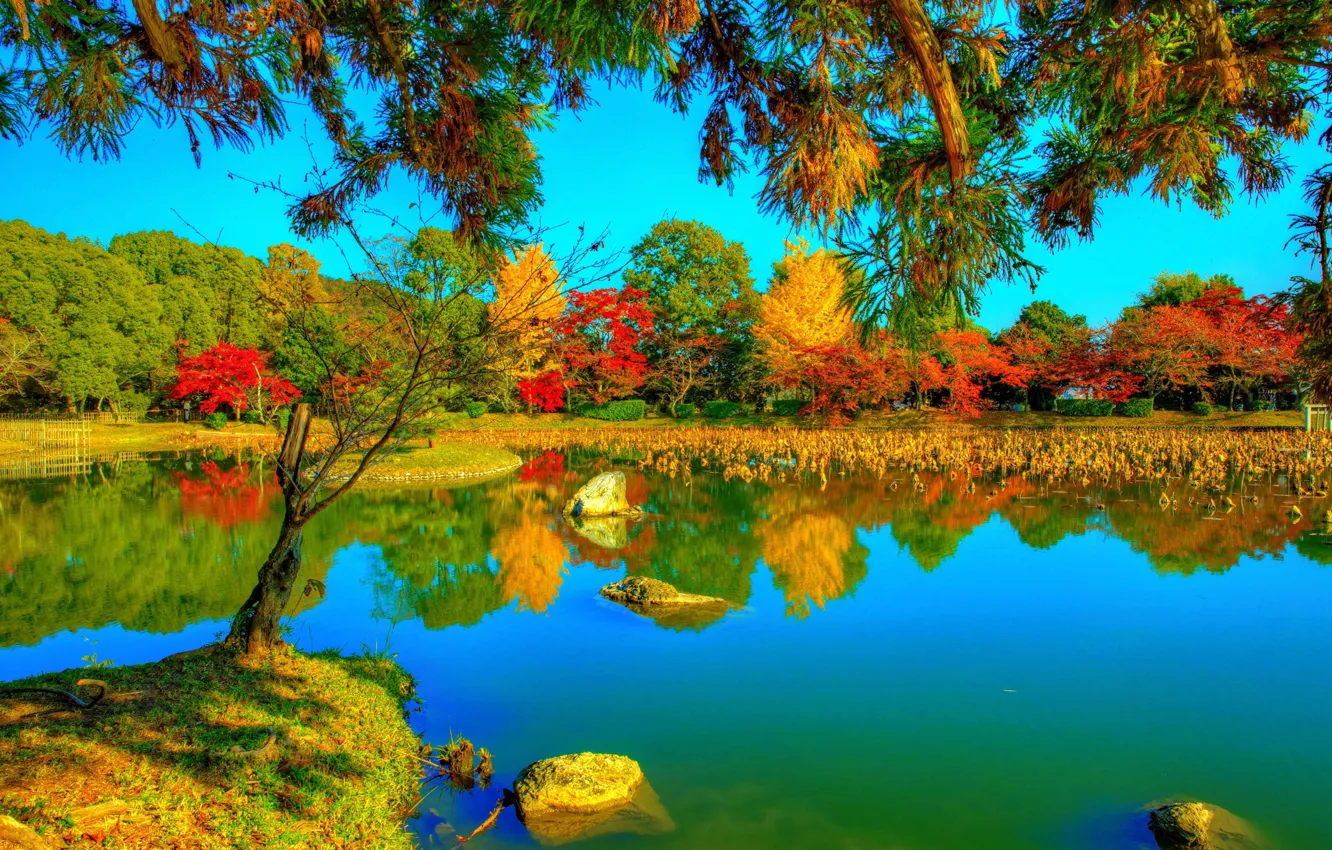 Photo wallpaper Park, photo, HDR, Japan, Kyoto, Daikaku-ji